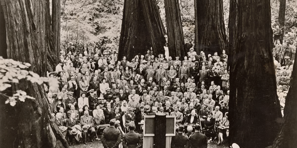 Rare archival bohemian grove photos showing private campsites among California redwoods